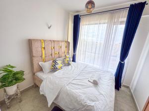 Aurora Suite