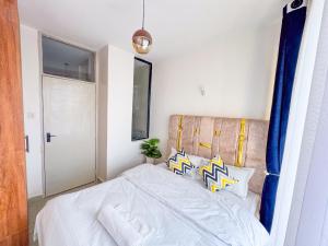 Aurora Suite