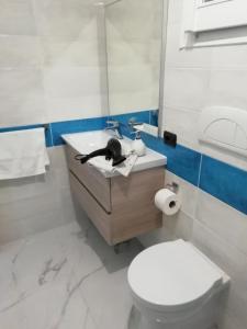 Villa Acquamarina-House Live Express