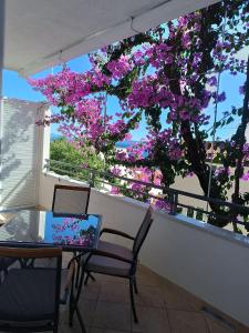 Apartments Josip II