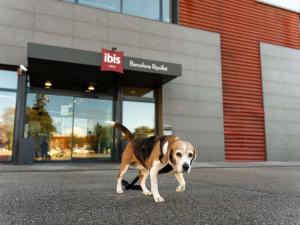 Ibis Ripollet