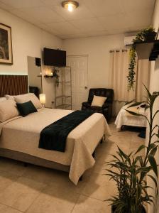 Cozy room with private bathroom, balcony