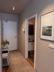 New Apartment in Central Reykjavík