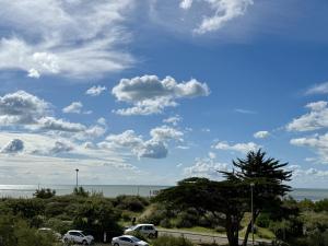 Studio vue mer, animaux admis - FR-1-652-68