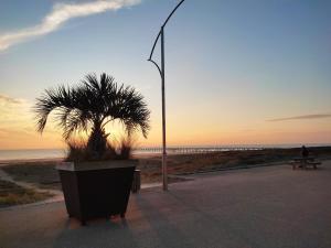 Studio vue mer, animaux admis - FR-1-652-68
