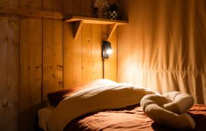 Pet Friendly Home In Voorthuizen With Wifi