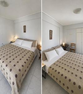 Simelia Apartment