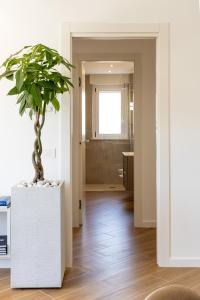 DKV Collection Rhome- Pigneto - 4 stops Colosseum