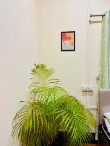 Areca-The poolside villa