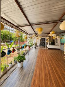 Areca-The poolside villa