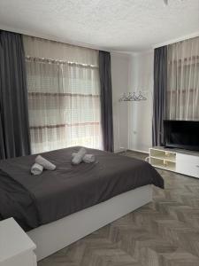 Flat in Trpejca