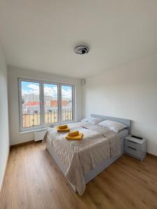 Fresh New apartment in the city centrum