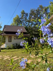 Đồi Lát Homestay