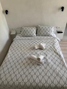 Kale Apartments Trpejca SUP and bikes included