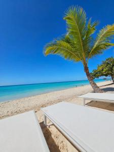 Antigua 304 Luxury Beachfront Penthouse with a Private Rooftop Jacuzzi