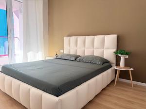 Cozy apartment Tirana Ali Demi
