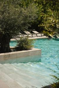 THERMA NUMERA Mineral SPA & Longevity