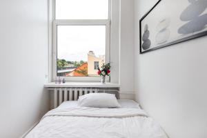 Tiny Central Urban Studio