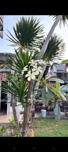 Hoku Nalu