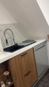 Large studio in Obernai