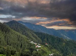 The Cedar Peak Retreat l Restaurant and Cafe l Forest Treks l Kufri by Exotic Stays