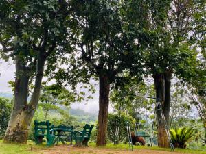 Suriya Sun Stay Resort