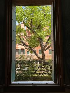 Golden Venezia Guest Rooms