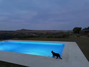 Quinta da Cabrida - Casa dos Senhores - Douro