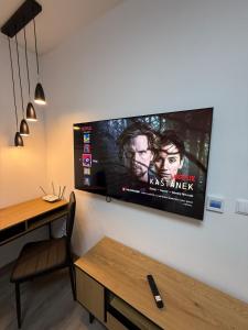 Cozy apartment after renovation Quiet part of KV