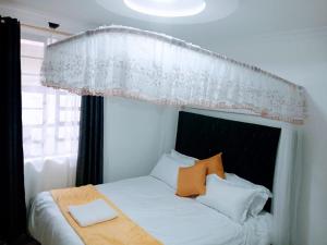 Open Haven One Bedroom Apartments