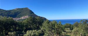 Affittacamere L’ Agrumeto