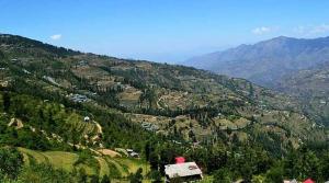 Valley Vista Rooms l Restaurant and Cafe l Forest Treks l Kufri by Exotic Stays