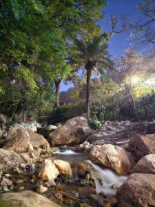 Tapovan Mountain Retreat