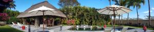 Villa 9 La Plantation dAlbion