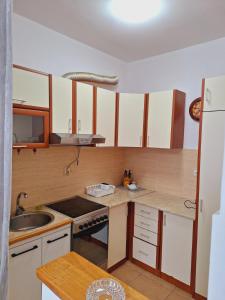 Two-bedroom apartment in the center of Budva