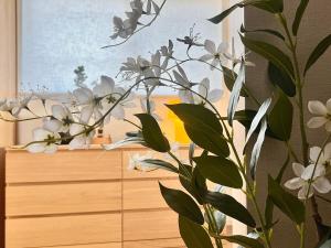 Luxury 2 bedroom suite in Shinjuku, Tokyo, super luxury Dyson & POLA top configuration! 3 min to Waseda station, maximum 4 guests