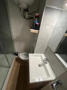 Un été en station
