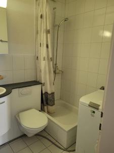 1 Flat-Room Bern