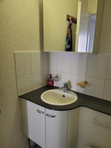 1 Flat-Room Bern