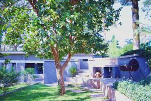 Lilac cottage