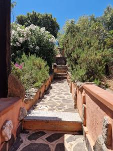 Three-room apartment in Porto San Paolo with a view of Tavolara