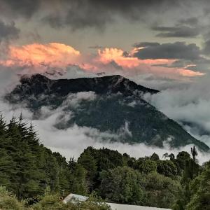 Jaulares Glamping