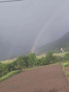 Tsiskari