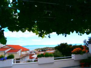 Apartmani MilenaMiki
