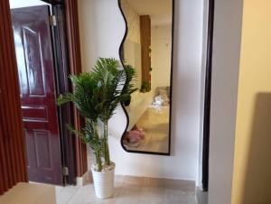 Oti Homes