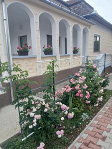 Casa Petrutiu1