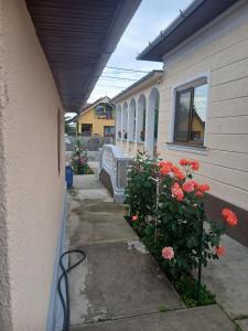 Casa Petrutiu1