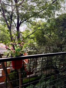 Sur CDMX l Cerca de Estado Banorte UNAM Coyoacan l Con estacionamiento