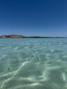 5 min to the Sea - Refined Apartment with Pool, Garden, Parking & WiFi