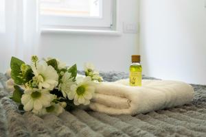 Modern Isola Suite - Near Metro - HL collection